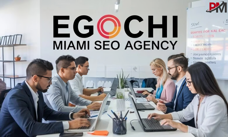 egochi miami seo agency