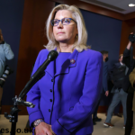 liz cheney